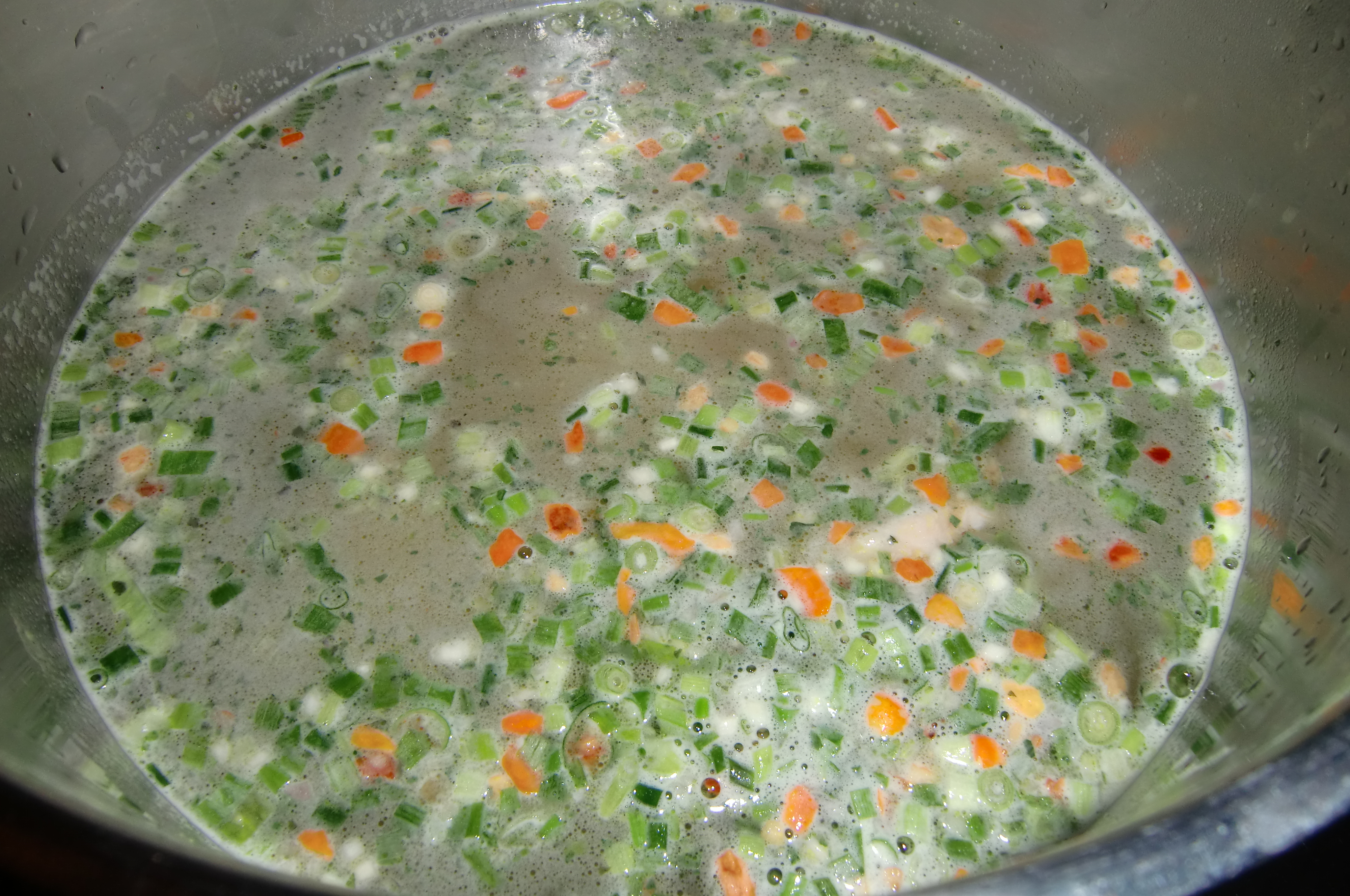 Asiatische Suppe mit Gemüse und Nudeln (11)