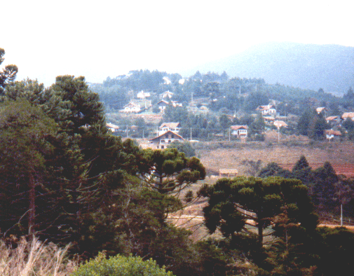 Monteverde (1)