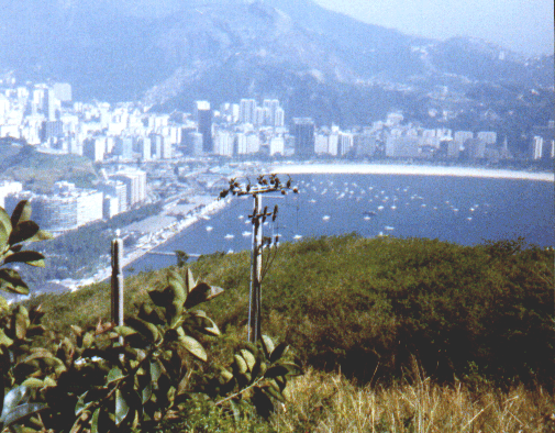 Rio (6)